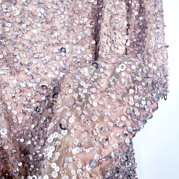 NWT ADRIANNA PAPELL Nude Sequin Sheath Dress 6 S - Picture 6 of 12